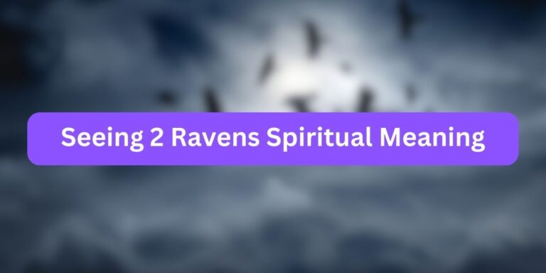 Seeing 2 Ravens Spiritual Meaning (Mystical Secrets)