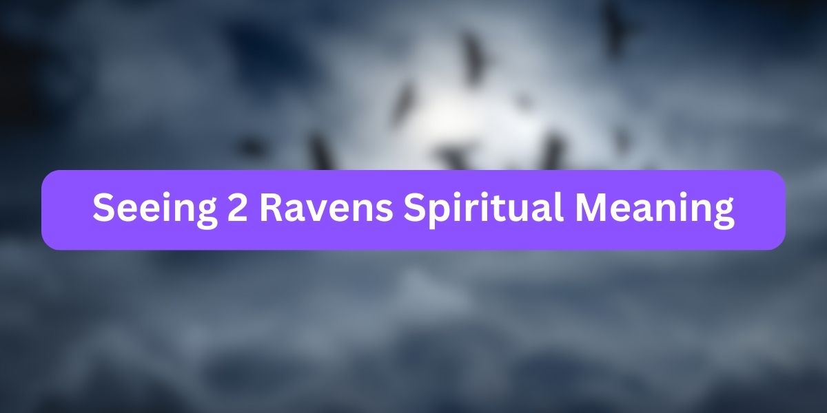 Seeing 2 Ravens Spiritual Meaning
