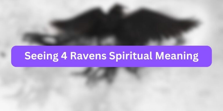 Seeing 4 Ravens Spiritual Meaning: Is It Normal?