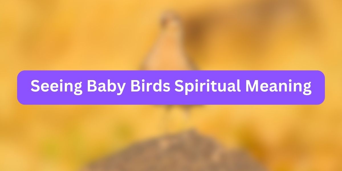 Seeing Baby Birds Spiritual Meaning