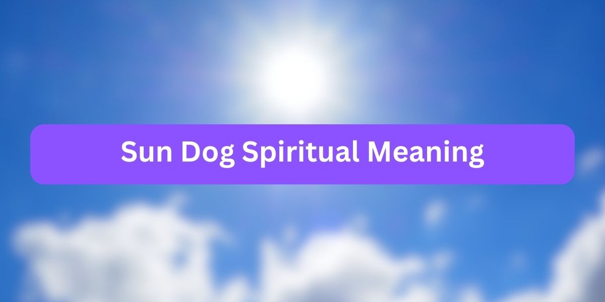 Sun Dog Spiritual Meaning