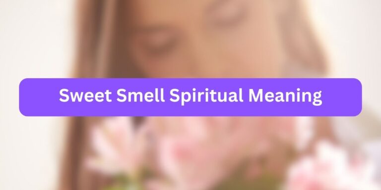 Sweet Smell Spiritual Meaning (Fragrance Facts)