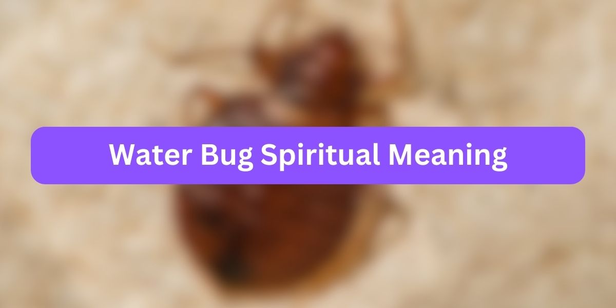 Water Bug Spiritual Meaning