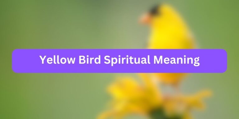 Yellow Bird Spiritual Meaning (Surprising Facts)