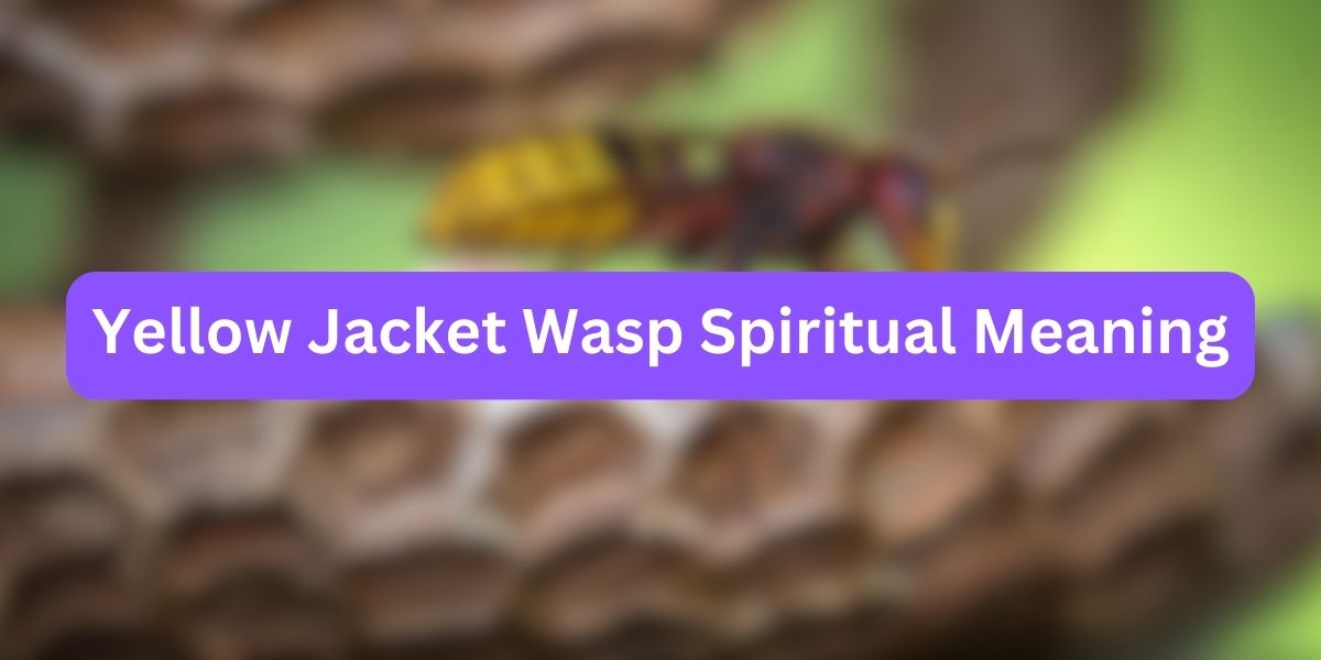 Yellow Jacket Wasp Spiritual Meaning