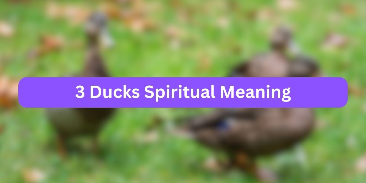 3 Ducks Spiritual Meaning