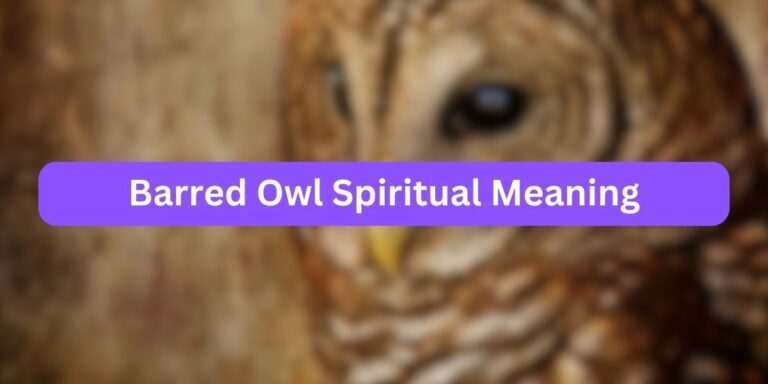 Barred Owl Spiritual Meaning (9 Symbolic Facts)