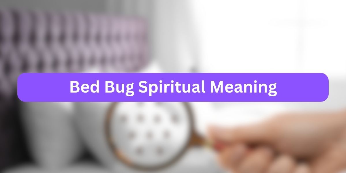 Bed Bug Spiritual Meaning