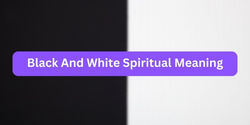 Black And White Spiritual Meaning 7 Profound Symbolism   Black And White Spiritual Meaning 1024x512 