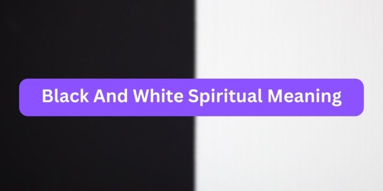 Black and White Spiritual Meaning (7 Profound Symbolism)
