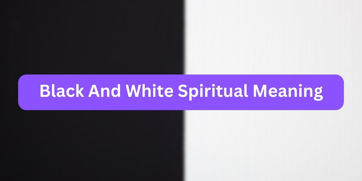 Black And White Spiritual Meaning