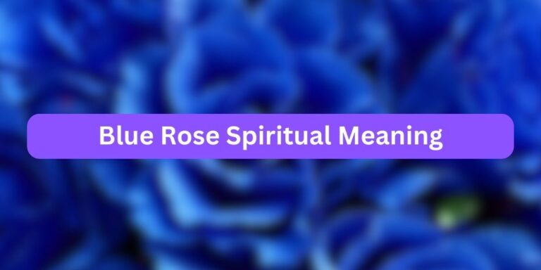 Blue Rose Spiritual Meaning (Unique Inclusion)