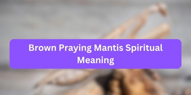 Brown Praying Mantis Spiritual Meaning (Mystical Essence)