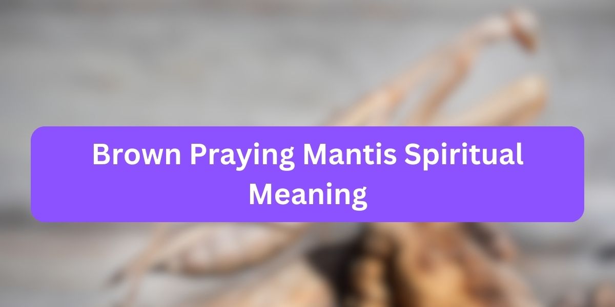 Brown Praying Mantis Spiritual Meaning