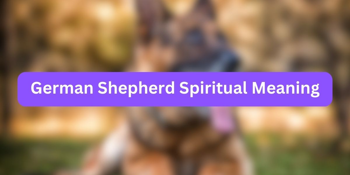 German Shepherd Spiritual Meaning