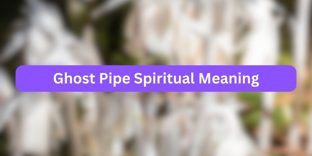 Ghost Pipe Spiritual Meaning