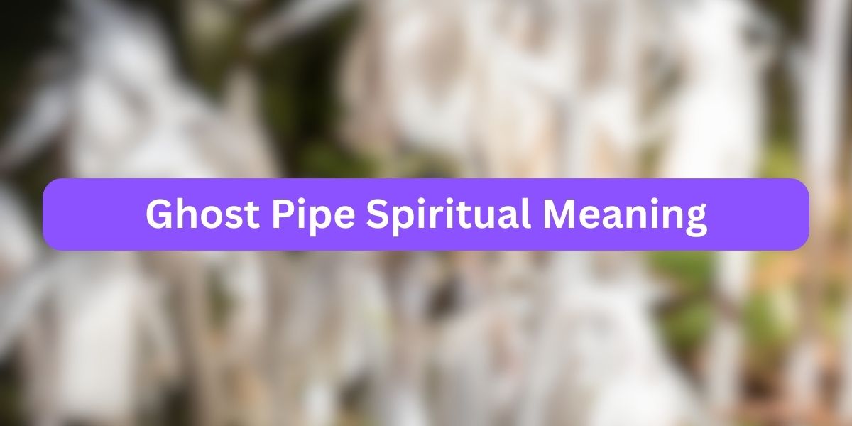Ghost Pipe Spiritual Meaning Unknown Facts 