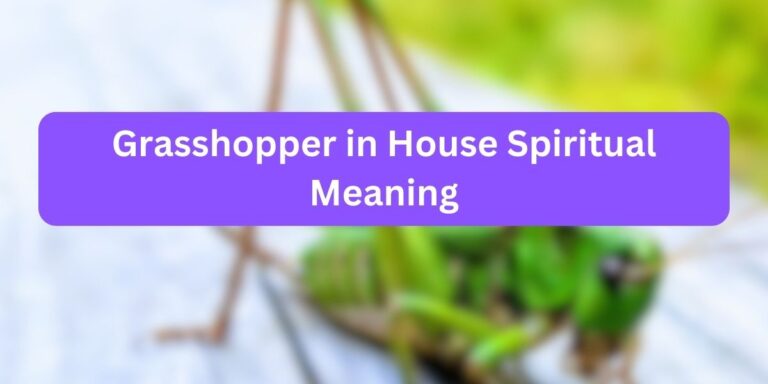Grasshopper in House Spiritual Meaning (with Reasons)