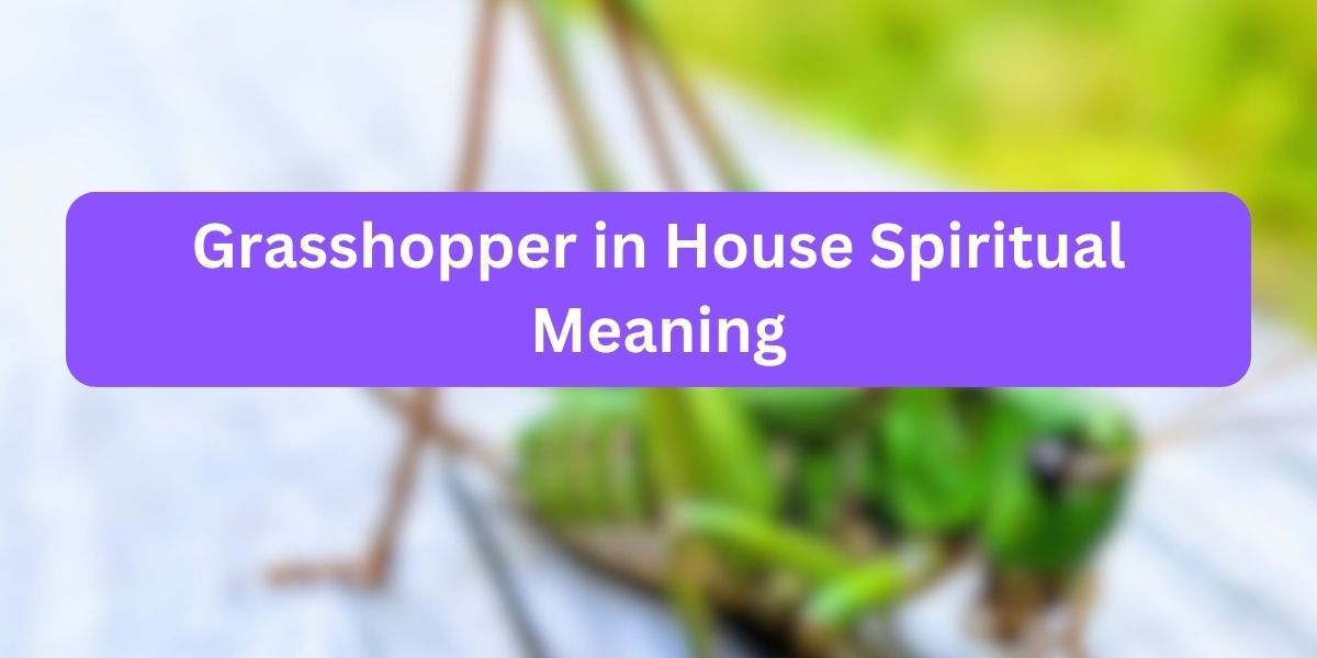 Grasshopper in House Spiritual Meaning