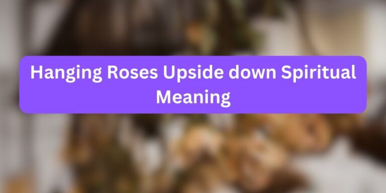 Hanging Roses Upside down Spiritual Meaning