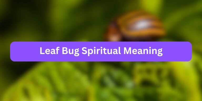 Leaf Bug Spiritual Meaning (10 Symbolical Meaning)