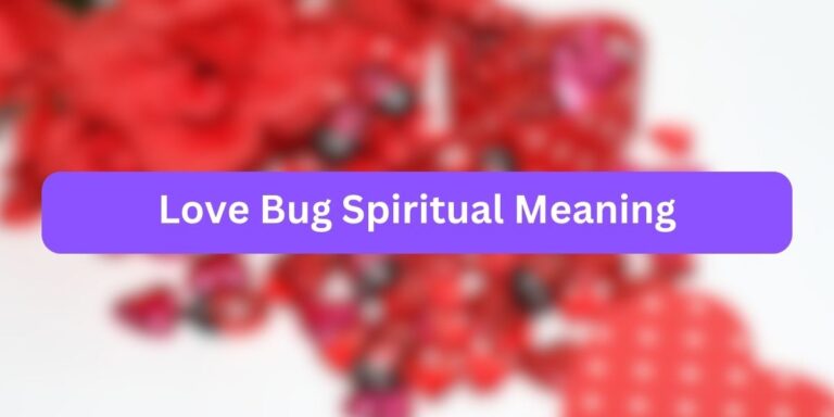 Love Bug Spiritual Meaning (with Characteristics)