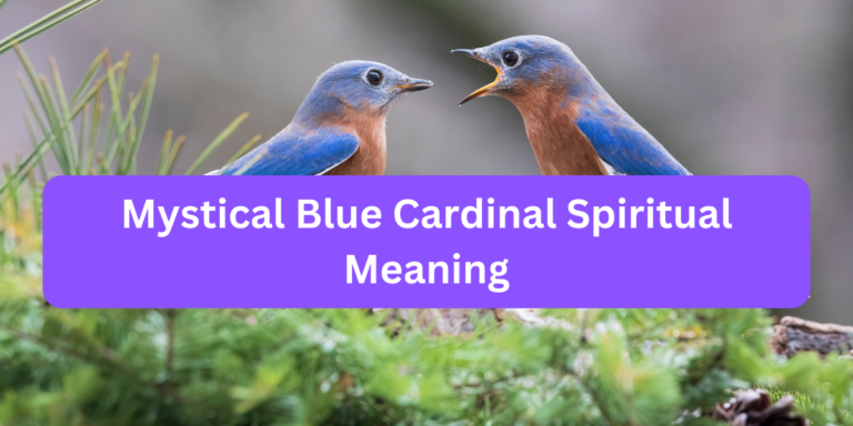 Mystical Blue Cardinal Spiritual Meaning (Interesting Facts)
