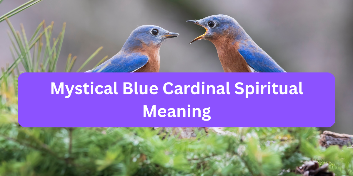 Mystical Blue Cardinal Spiritual Meaning