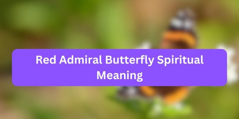 Red Admiral Butterfly Spiritual Meaning (Secrets)