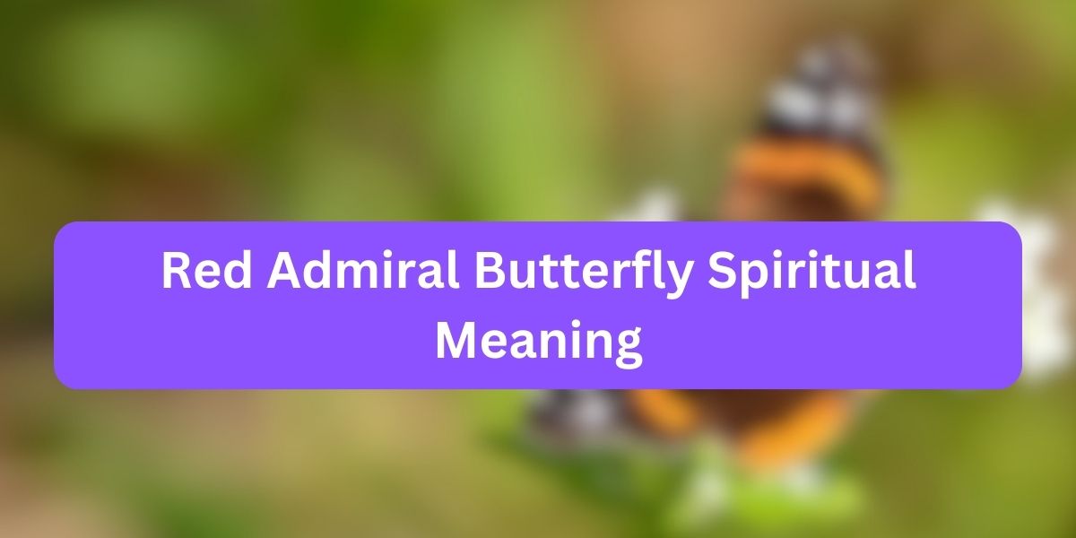 Red Admiral Butterfly Spiritual Meaning