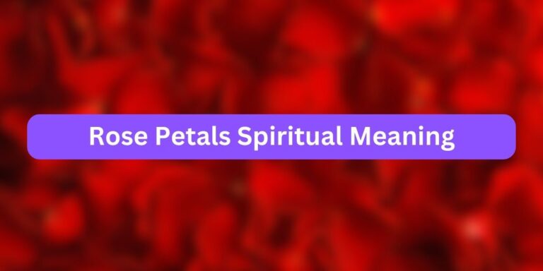 Rose Petals Spiritual Meaning (Flower Spirituality)