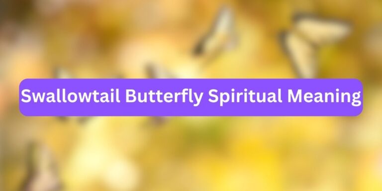 Swallowtail Butterfly Spiritual Meaning (Mystery Unwrapped)