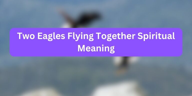 Two Eagles Flying Together Spiritual Meaning (Sacred Symbolism)