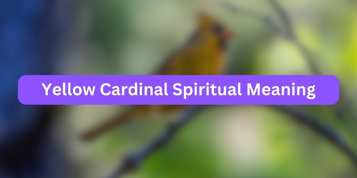 Yellow Cardinal Spiritual Meaning