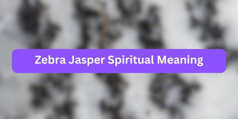 Zebra Jasper Spiritual Meaning (9 Secret Facts)