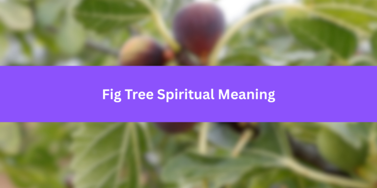 Fig Tree Spiritual Meaning: Unlocking the Sacred Symbolism