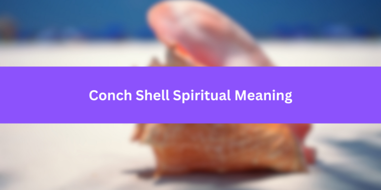 Conch Shell Spiritual Meaning: Unlocking Deep Symbolism