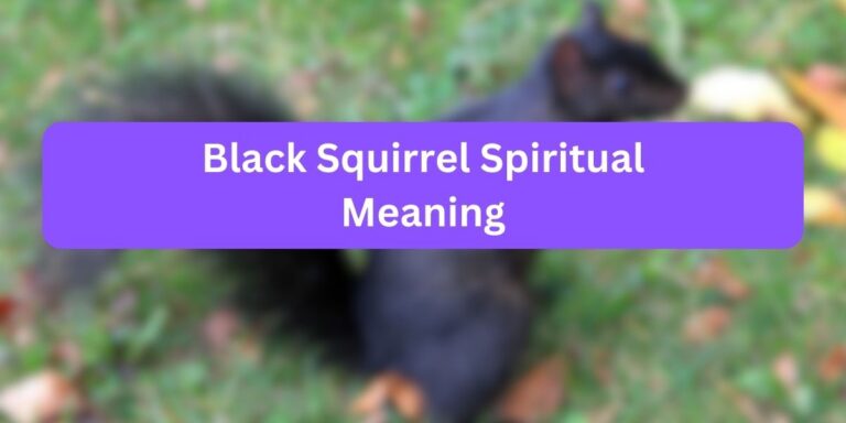 Black Squirrel Spiritual Meaning (7 Symbolic Facts)