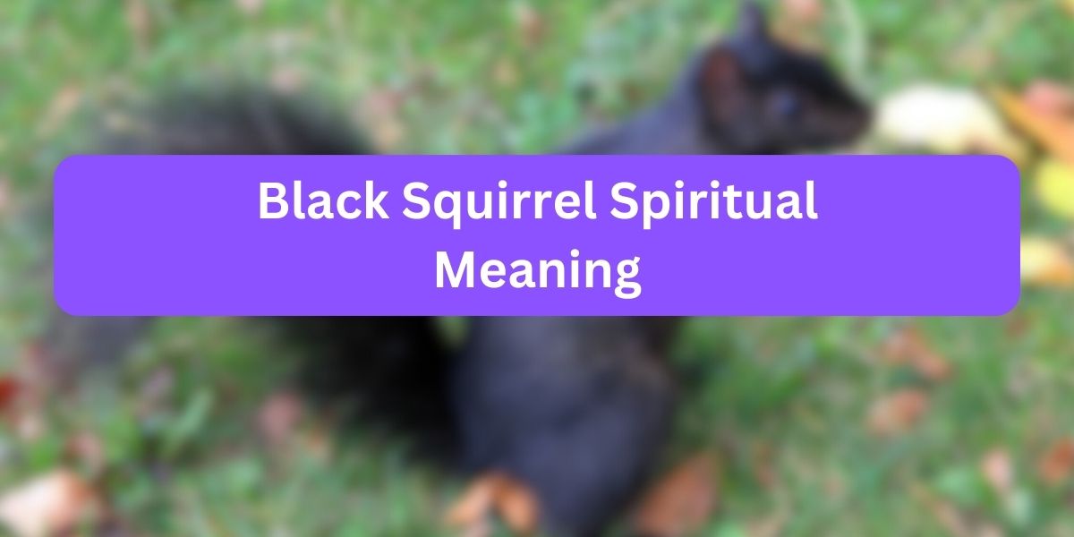 Black Squirrel Spiritual Meaning