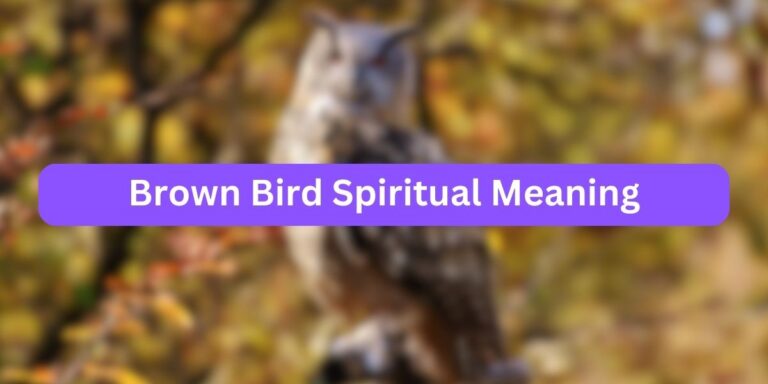 Brown Bird Spiritual Meaning (with Interesting Facts)