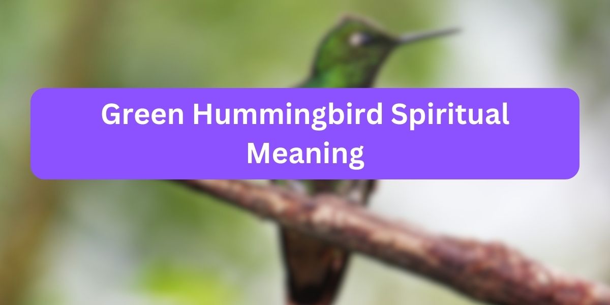 Green Hummingbird Spiritual Meaning