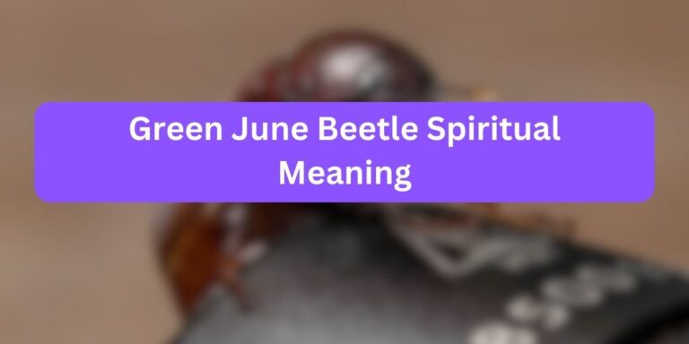 Green June Beetle Spiritual Meaning (Unknown Facts)