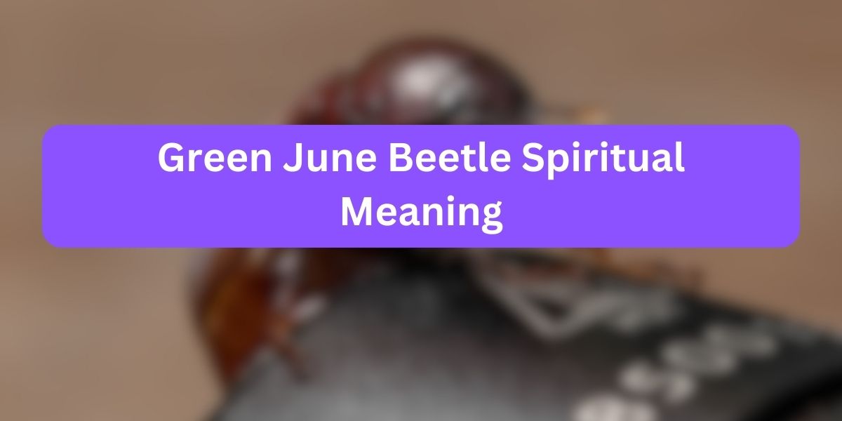 Green June Beetle Spiritual Meaning