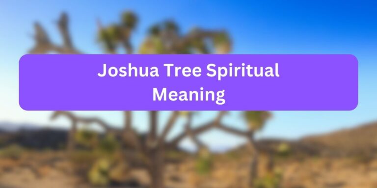 Joshua Tree Spiritual Meaning (Unknown Symbolic Facts)