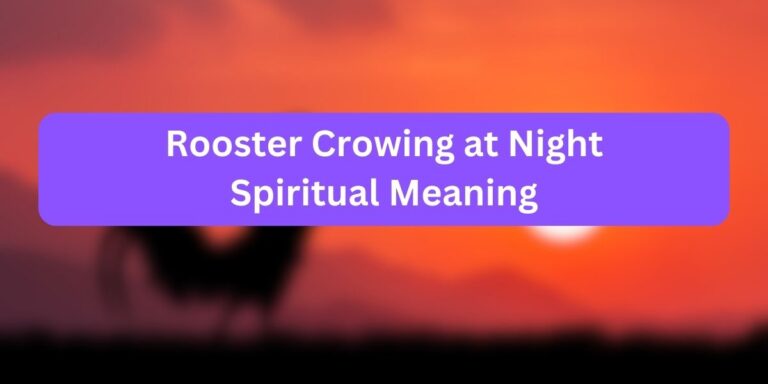 Rooster Crowing at Night Spiritual Meaning (7 Meanings)