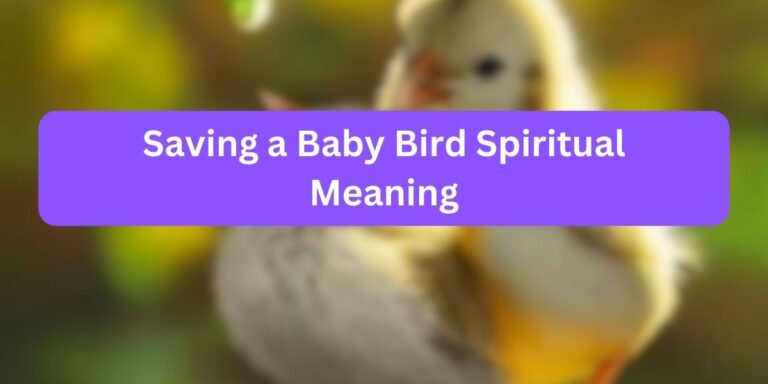 Saving a Baby Bird Spiritual Meaning (Heartbreaking Truth)