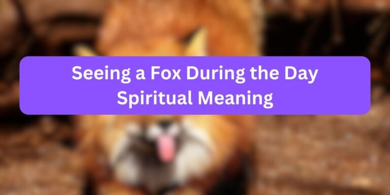 Seeing a Fox During the Day Spiritual Meaning (Unknown Meanings)