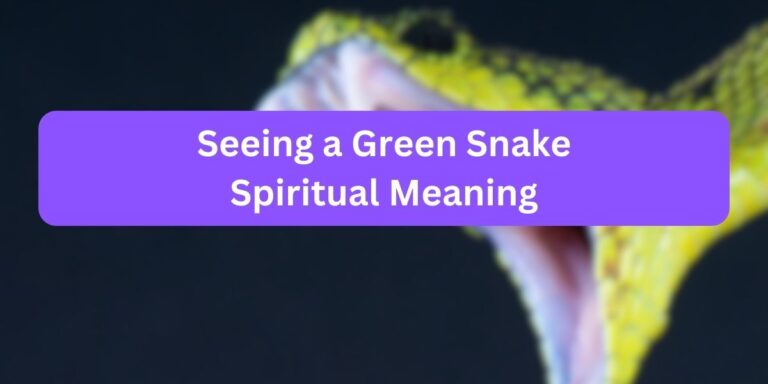 Seeing a Green Snake Spiritual Meaning (13 Symbolic Meaning)
