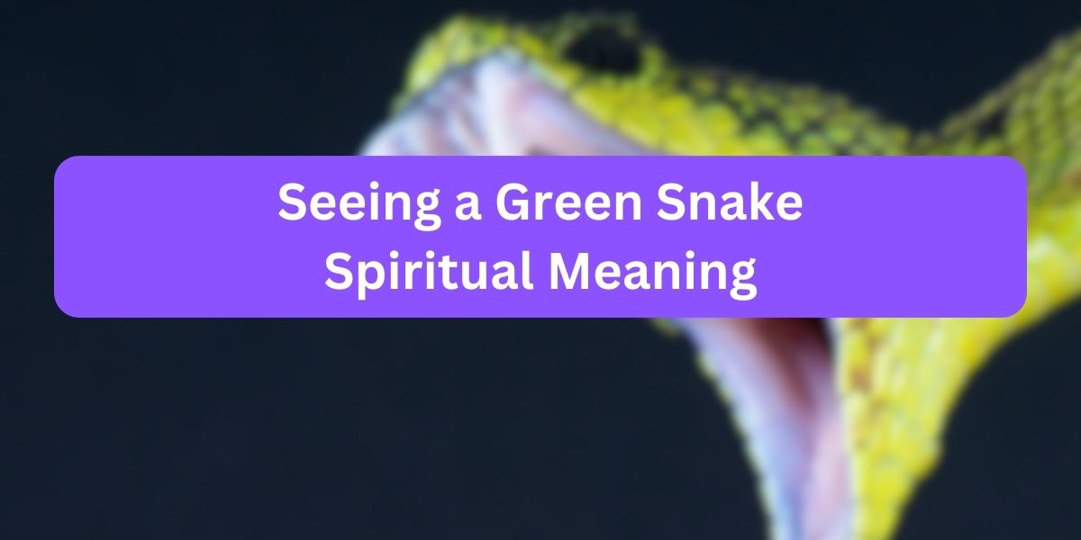 Seeing a Green Snake Spiritual Meaning