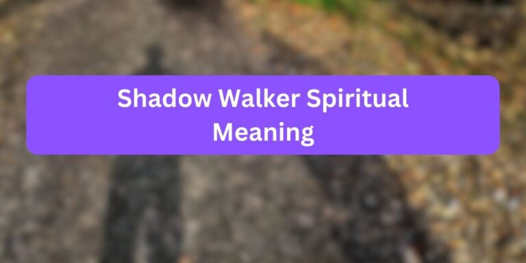 Shadow Walker Spiritual Meaning (8 Mystical Facts)